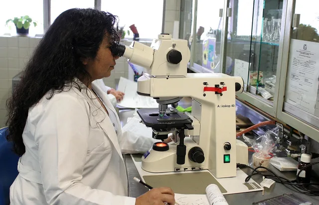 Fotografia che illustra Partenariati di ricerca con le scuole universitarie: quali strumenti di sostegno utilizzano le PMI?